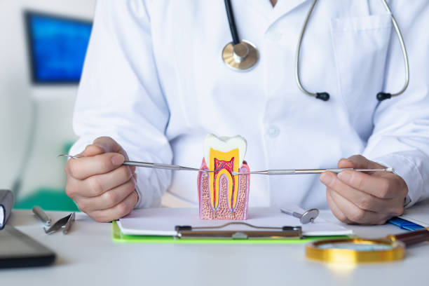 Best Dental Abscess Treatment in Fair Plain, MI